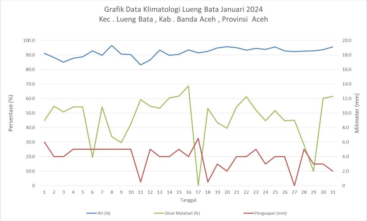 Grafik Data Klimatologi Lueng Bata Januari 2024