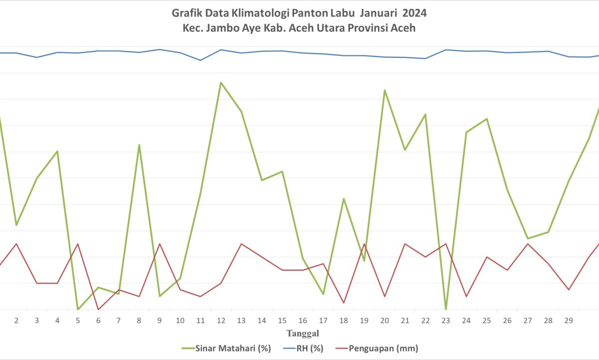 Grafik Data Klimatologi Panton Labu Januari 2024