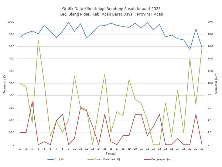 Grafik Data Klimatologi Bendung Susoh Januari 2025