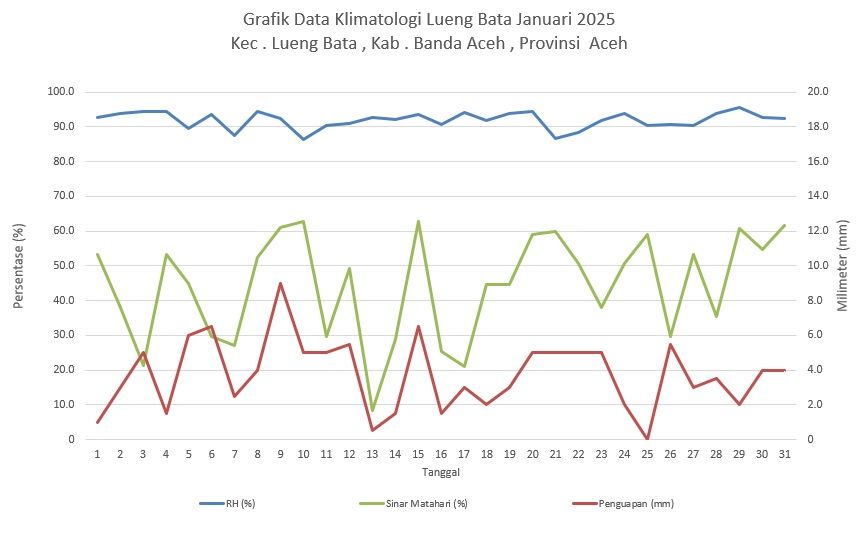 Grafik Data Klimatologi Lueng Bata Januari 2025