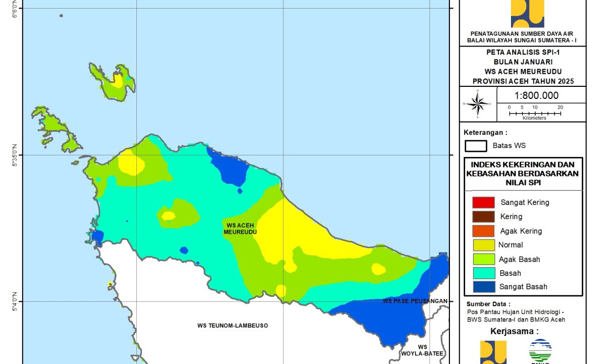 Peta Analisa SPI Januari WS Aceh Meureudu 2025