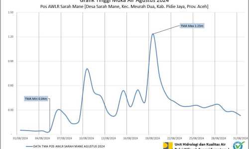 TMA Pos Sarah Mane Agustus 2024